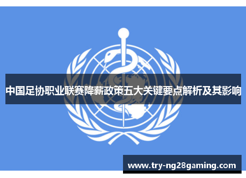 中国足协职业联赛降薪政策五大关键要点解析及其影响