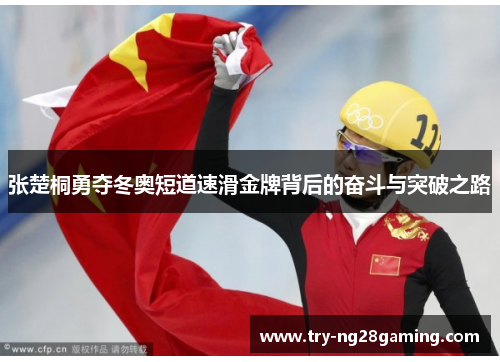 张楚桐勇夺冬奥短道速滑金牌背后的奋斗与突破之路