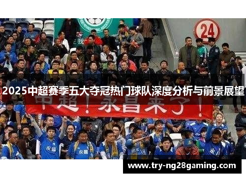 2025中超赛季五大夺冠热门球队深度分析与前景展望