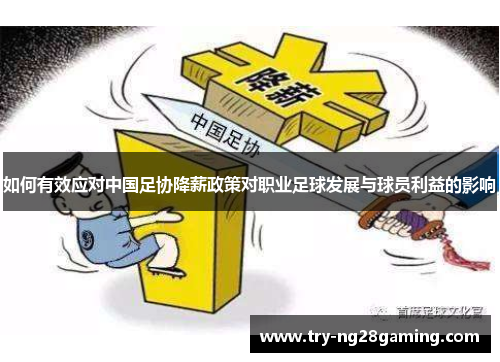 如何有效应对中国足协降薪政策对职业足球发展与球员利益的影响