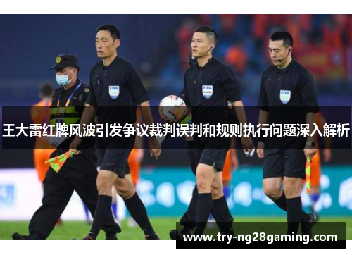 王大雷红牌风波引发争议裁判误判和规则执行问题深入解析