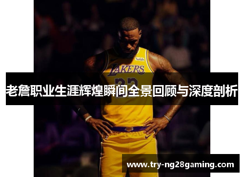 老詹职业生涯辉煌瞬间全景回顾与深度剖析