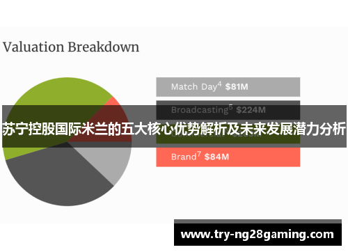 苏宁控股国际米兰的五大核心优势解析及未来发展潜力分析