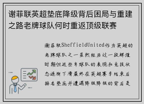 谢菲联英超垫底降级背后困局与重建之路老牌球队何时重返顶级联赛