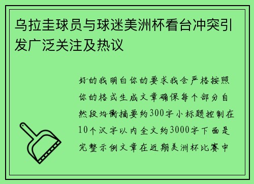 乌拉圭球员与球迷美洲杯看台冲突引发广泛关注及热议